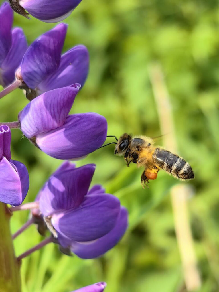 Кемпинг — отдых на природе