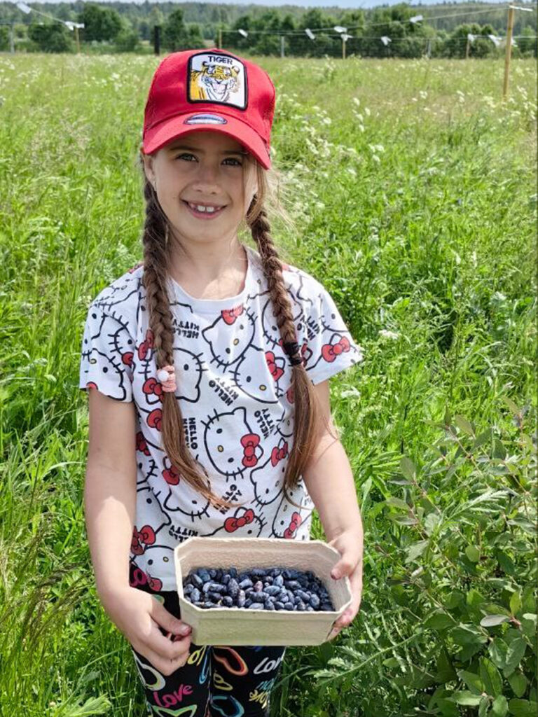 Кемпинг — вид на пасеку