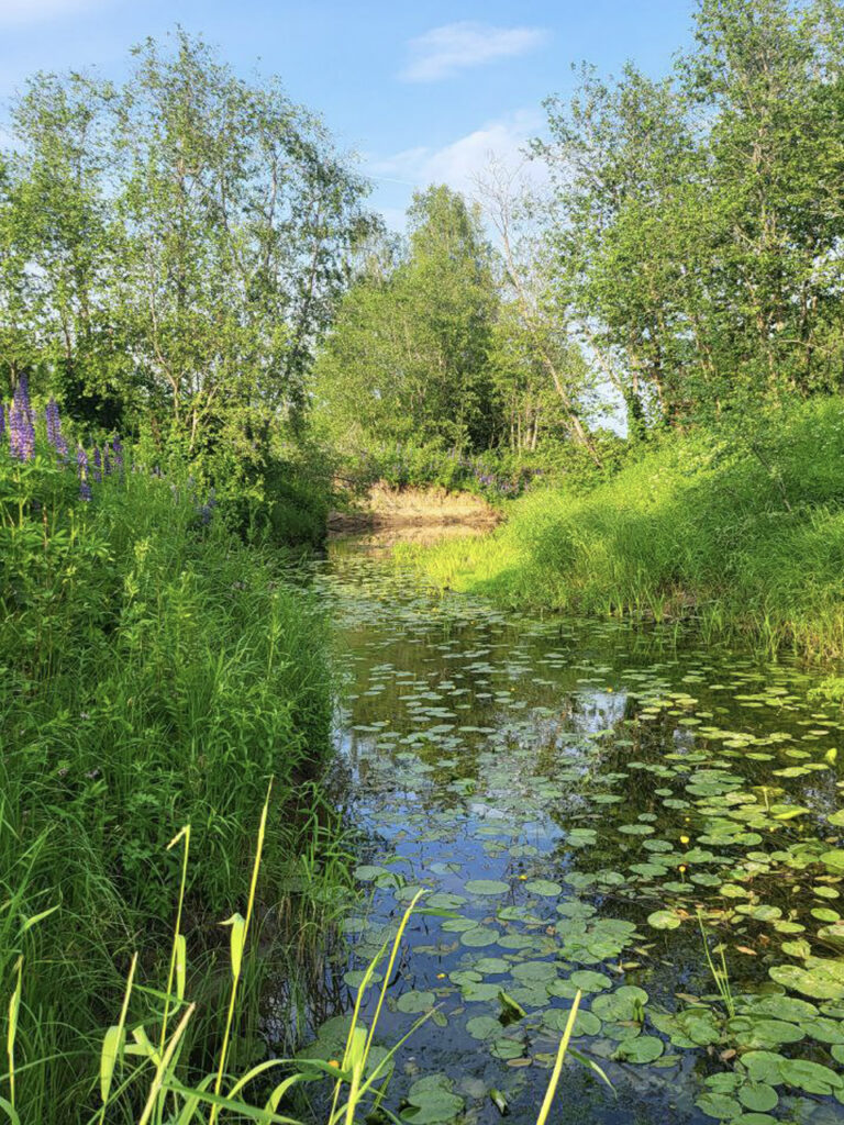 Кемпинг — закаты