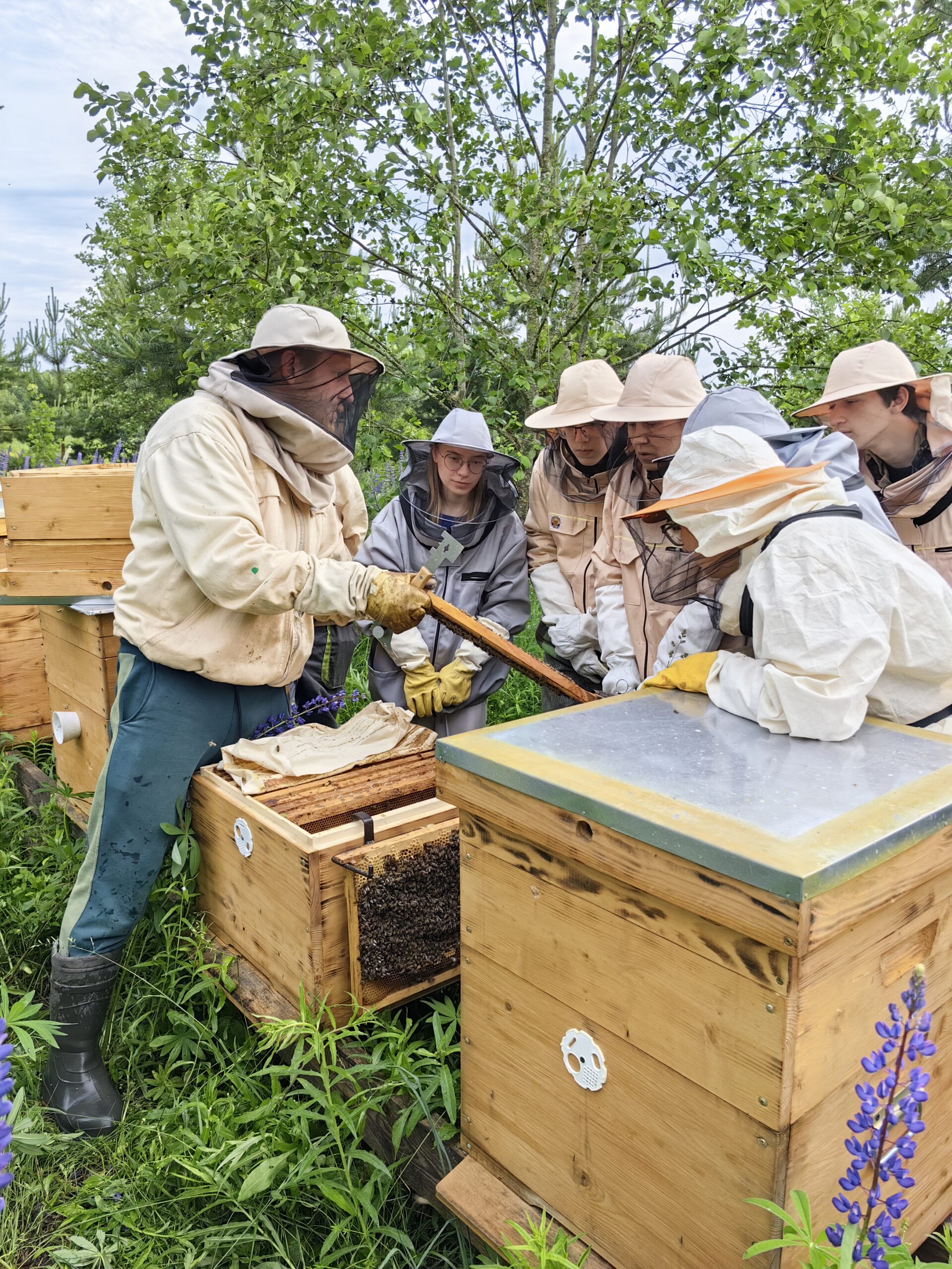 Волонтёрские смены